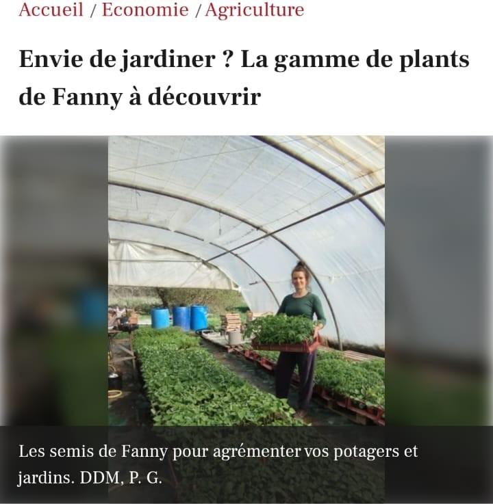 Article plants 2025 2