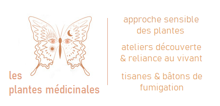 Bouton 2 paysage 2 papillon 1