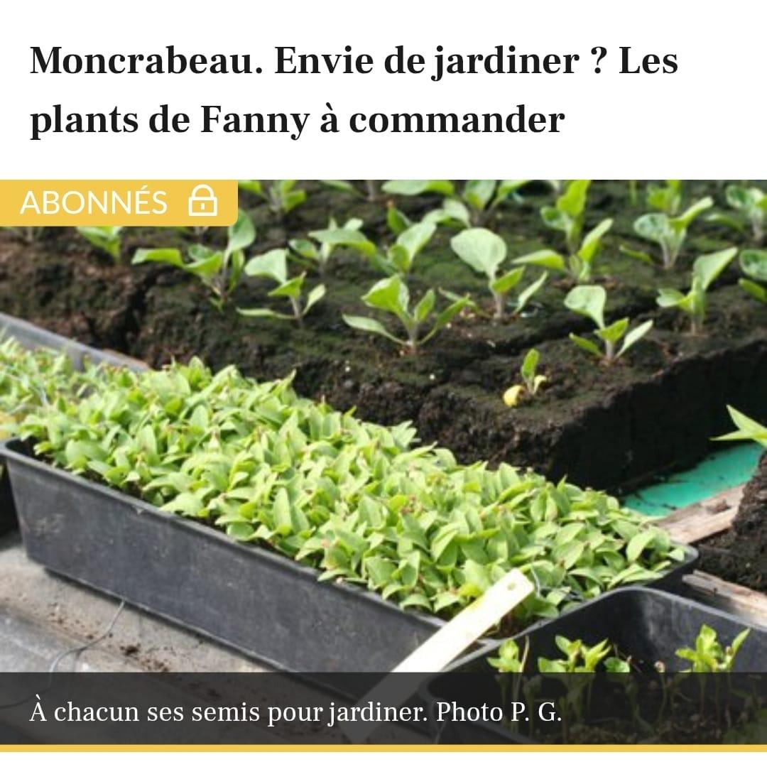 Plants 2024