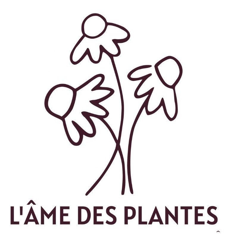 Fanny Levrouw - Plants bio, danse libre & ateliers bien-être